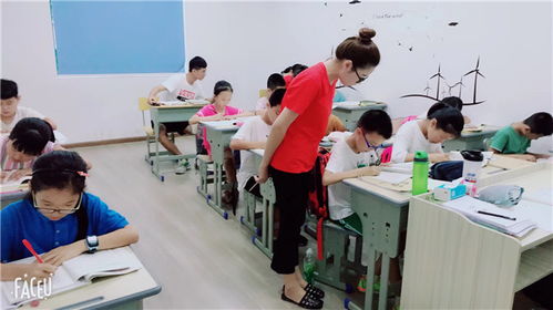 金华八年级语文1对多培训 起点教育助力文化素养提升与交流